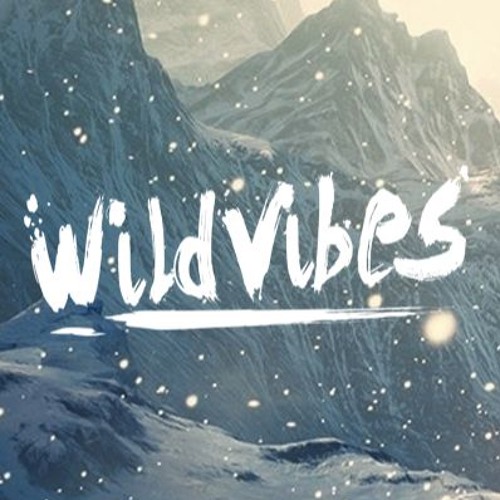 WildVibes Remixes’s avatar