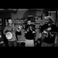 The Damn Fine String Band