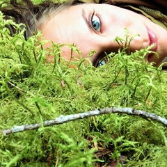 WildernessInside