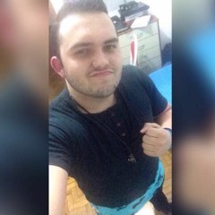 Ariel Bortolini Moraes