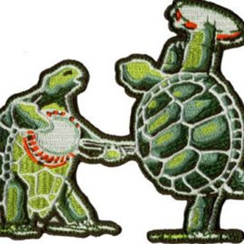 Stream Terrapin Shells music | Listen to songs, albums, playlists for ...
