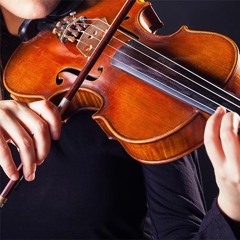 Suzuki Master Violin