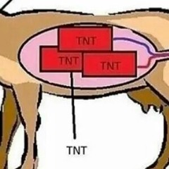 TNT