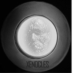 xenocles