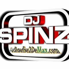 DJ SPINZ - Paradise2demax