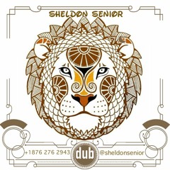 Sheldon Senior 1