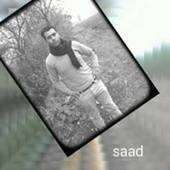 سعد زغلول غريب