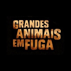 Grandes Animais em Fuga