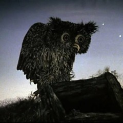 Secret Music Of Mine