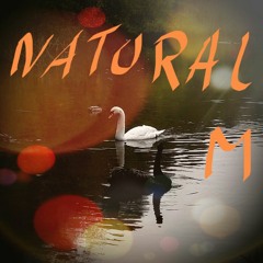 NATURALSIGN