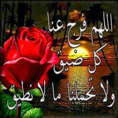 Darsh Mahmoud