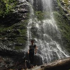 Yon Forest