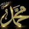 أشرف البطاوى