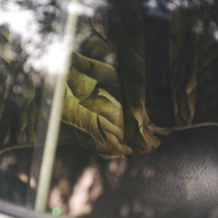 ShamikaLizzetteSwann