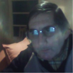 Branislav Stanisavljevic