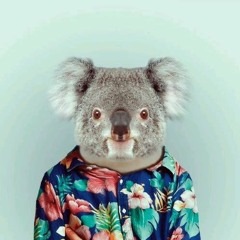 CRUZ FX