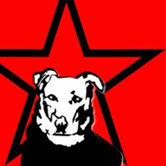asterixband