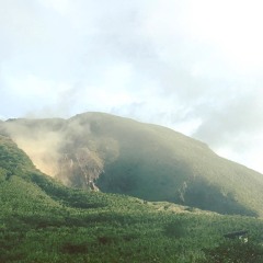 Swirling Walk | Noise on the vvay