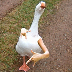 EricBm