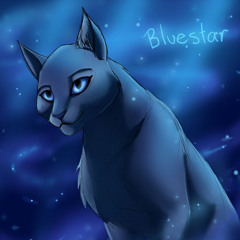 Blue Star Gaming