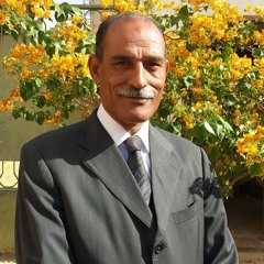غريب محمد