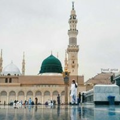 User 280019134