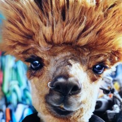 Lama K Civodul