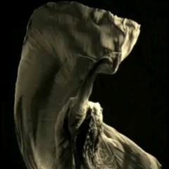Fatima Hossam