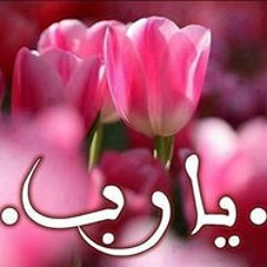 User 176022734