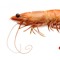 La Gambass