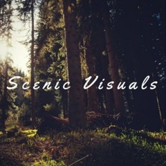 Scenic Visuals