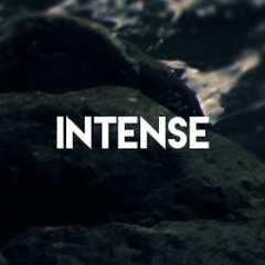 The Intense Fam