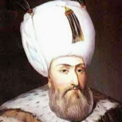 Amir Elsayed