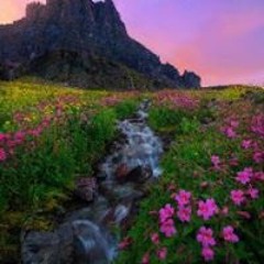 Abdelaadim Abdelaadim