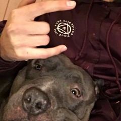 V $MOKEY