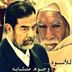 صدام عز العرب