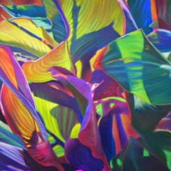 ritropical