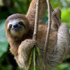 Chilberto
