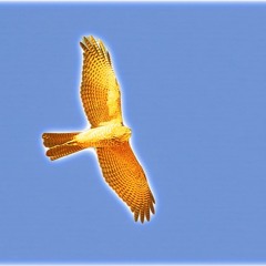 ... And The Storm Went Silent (v2)