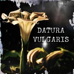 Datura Vulgaris