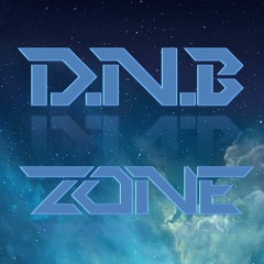 E.G Project (D.N.B ZONE)
