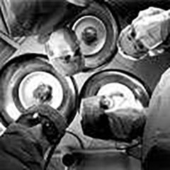 karen francis fitzgerald