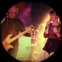 Arguably Venomous Mammals