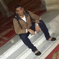 Ahmed Saeed Mido