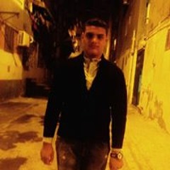 hamed