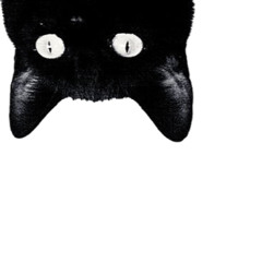 Tacomoonz_ 2399