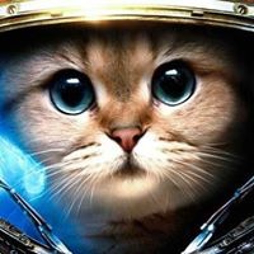 萧亚轩 Elva Hsiao - 最熟悉的陌生人