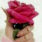 Faten Refaat