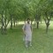 Ishfaq Ahmad