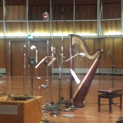 Héloïse Dautry harpist.